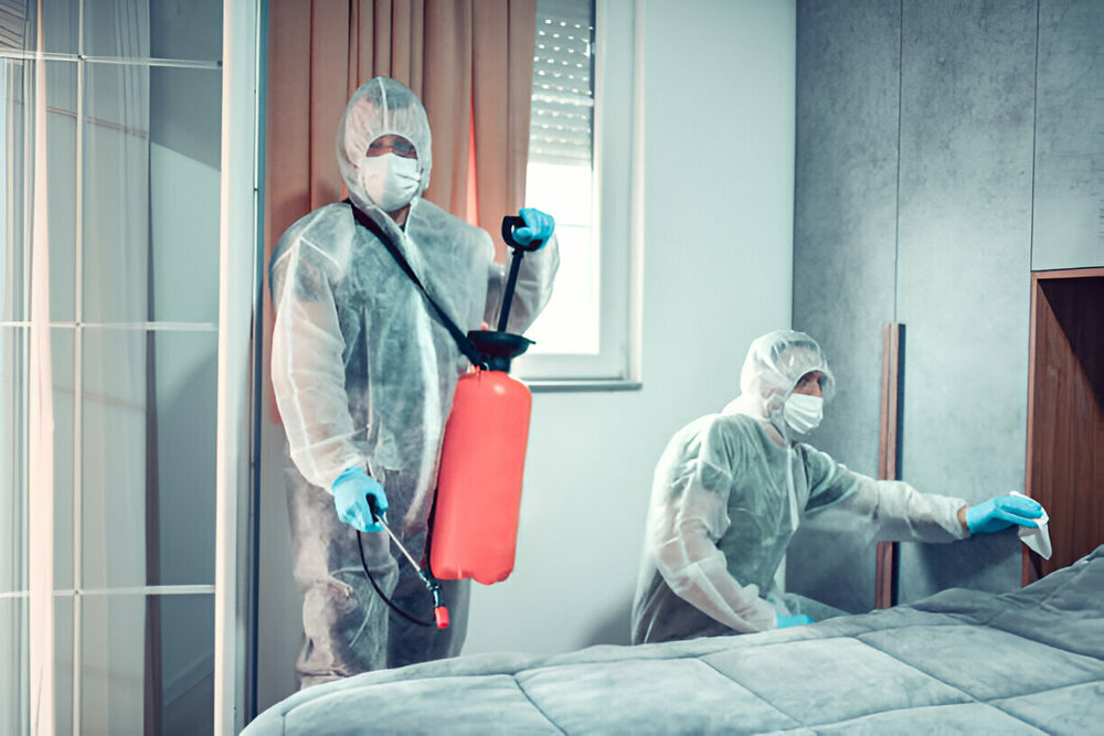 Bed Bug Control Ajax